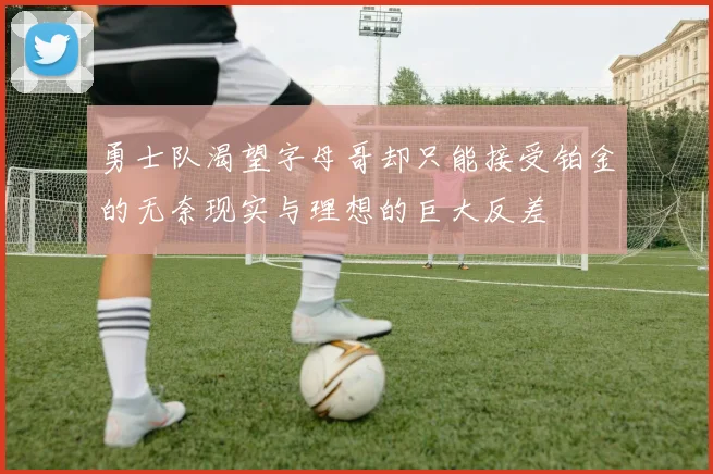 勇士队渴望字母哥却只能接受铂金的无奈现实与理想的巨大反差